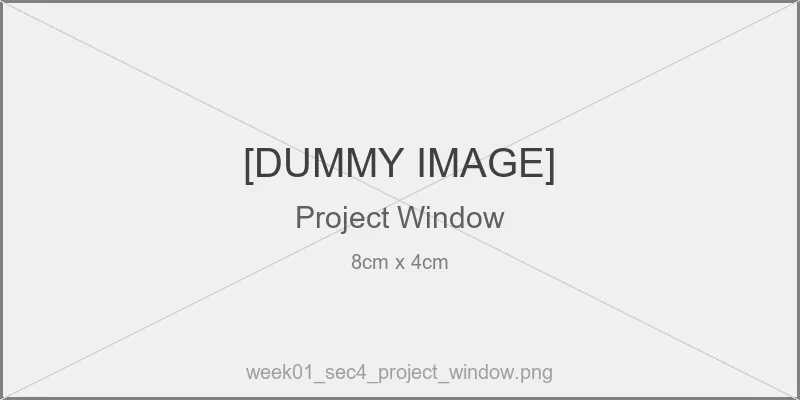 Projectウィンドウ