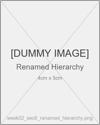 名前変更後のHierarchy